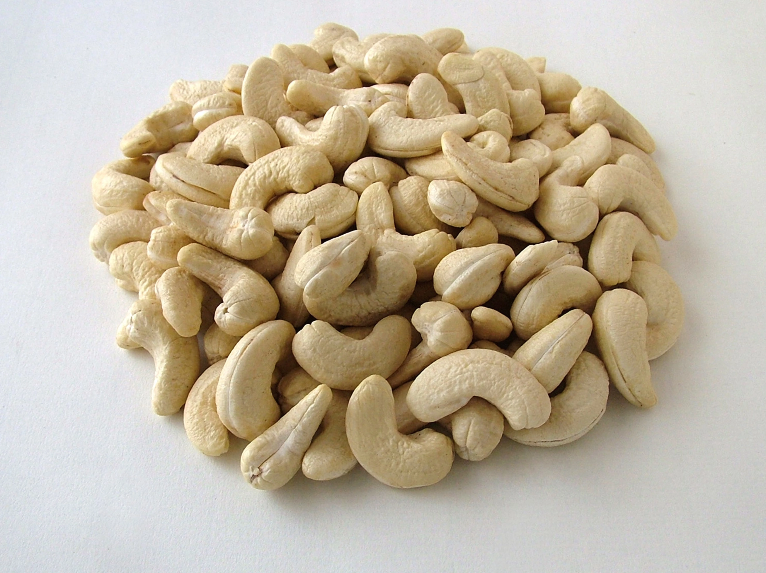 캐슈넛 하루 권장량