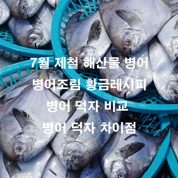 7월 제철 해산물 병어 병어조림 황금레시피 병어 덕자 비교 병어 덕자 차이점