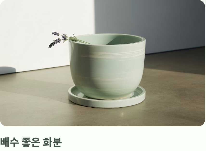 '숨 쉬는 집'을 만들어주세요 (흙과 화분)