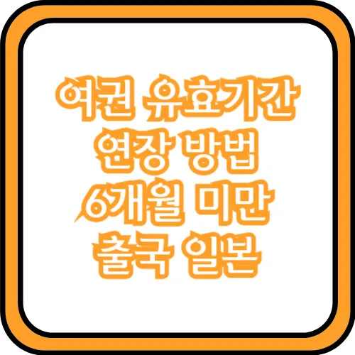 여권 유효기간