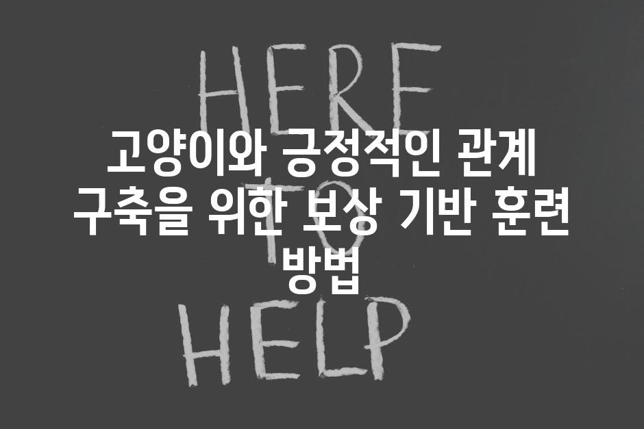 고양이와 긍정적인 관계 구축을 위한 보상 기반 훈련 방법
