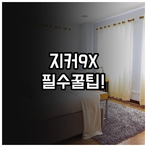지커 9X 화이트 인테리어 관리와 추..