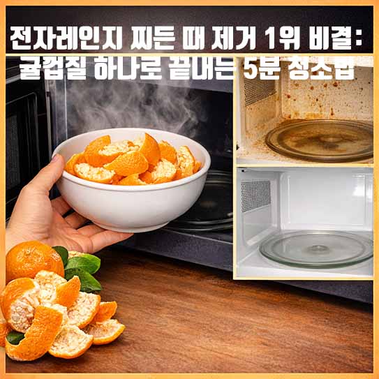 전자레인지 찌든 때 제거 1위 비결: 귤껍질 하나로 끝내는 5분 청소법