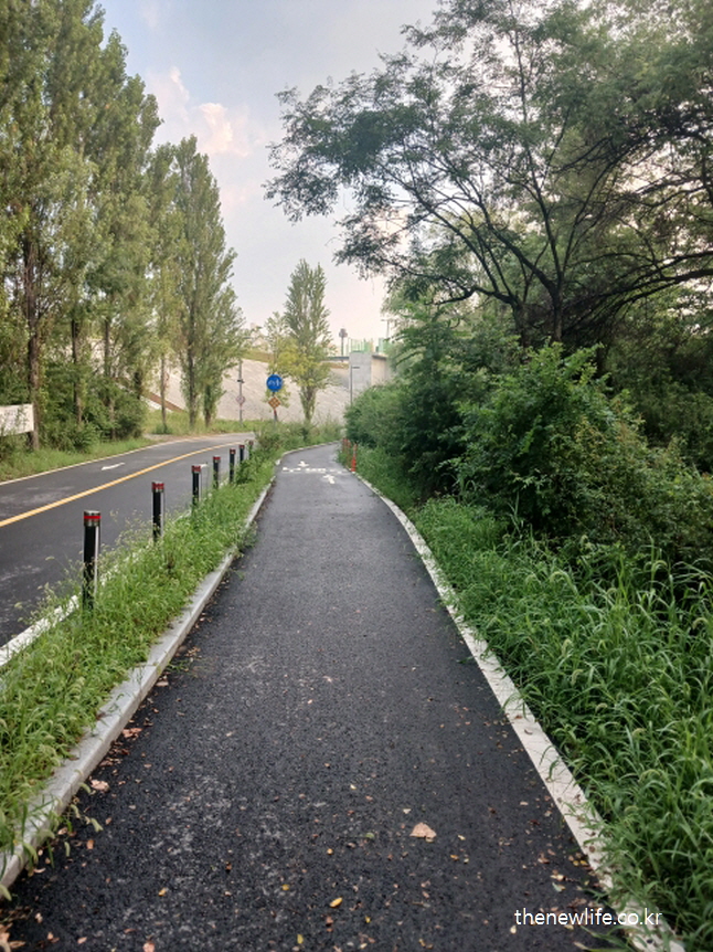 Unpaved park trail used for belly fat walking routine/똥배 없애는 운동에 사용된 공원 흙길