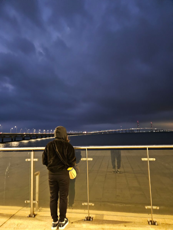 인천대교를 바라보다