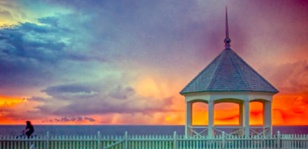 청와대－관람신청