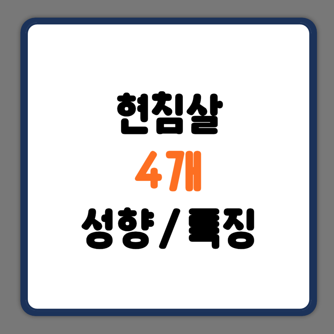 현침살 4개 성향 특징