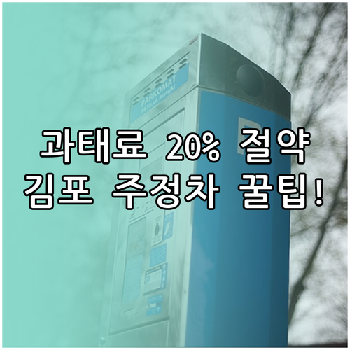 과태료 20% 절약하는 김포시 주정차..