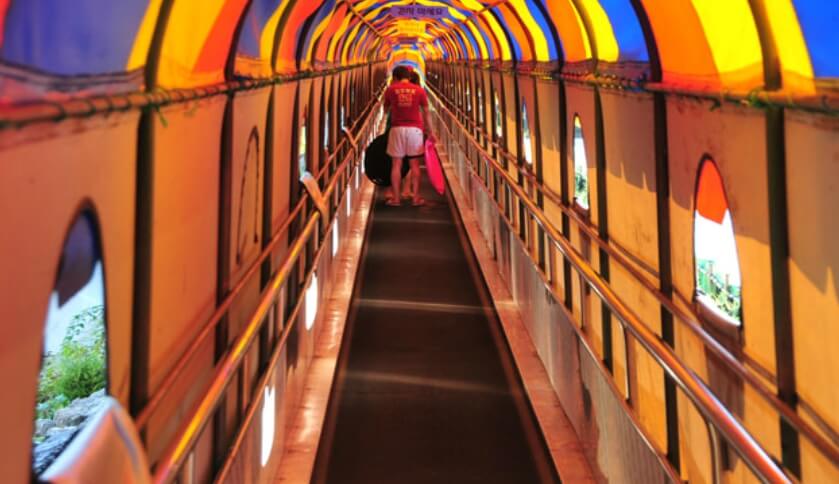 가평 사계절 썰매장