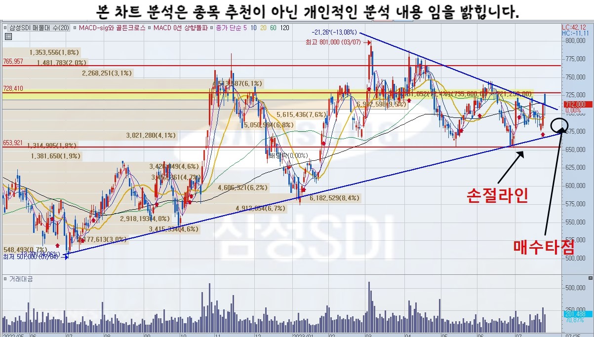 삼성SDI 주가차트