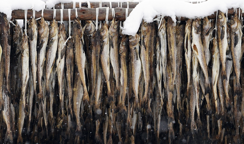 강원도황태이미지