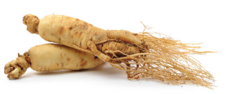 산삼배양근 효능 총정리 3