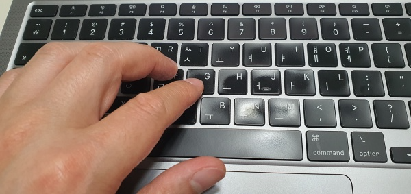 노트북-키보드에-올라간손