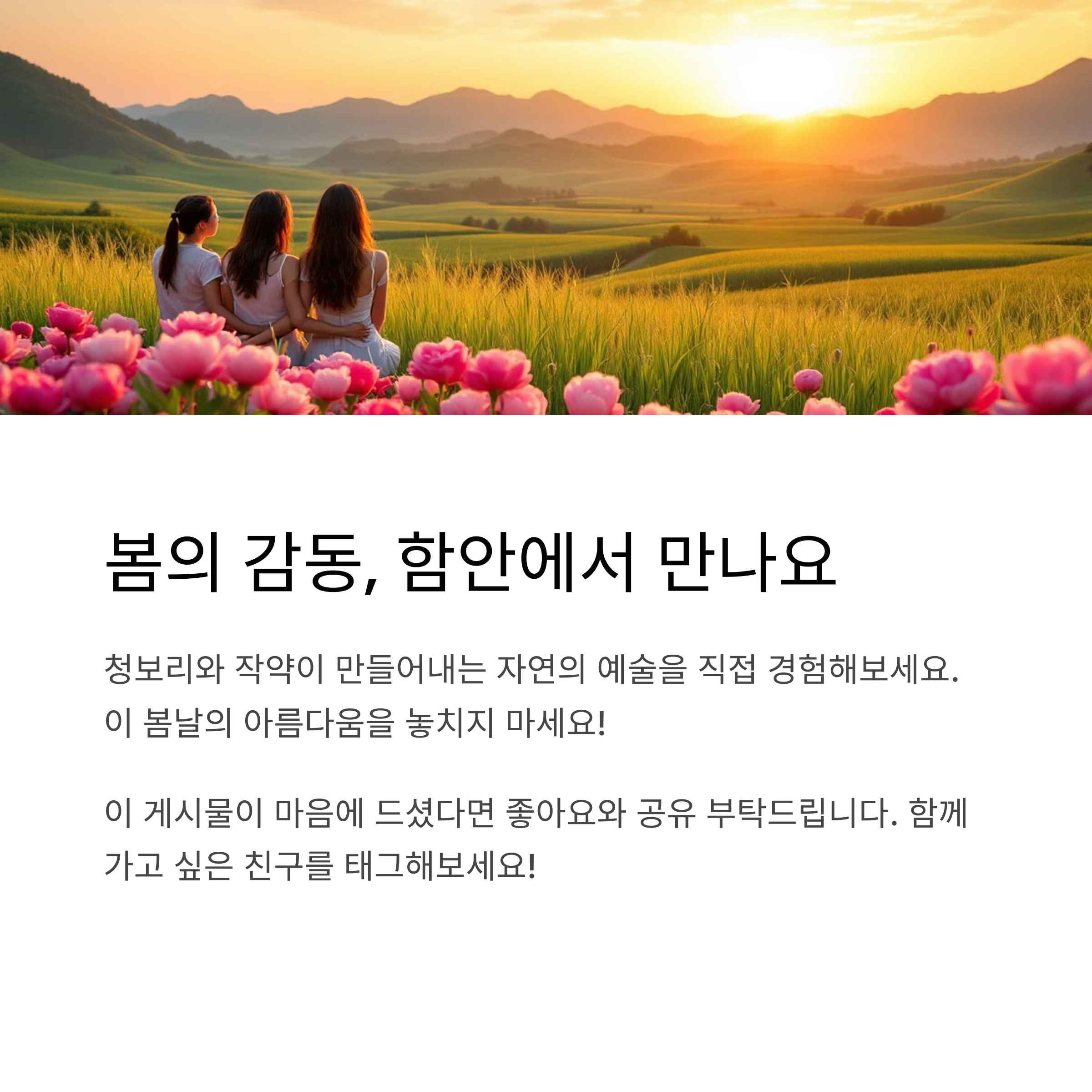 함안 청보리와 작약의 계절