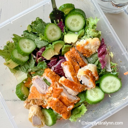 47kg 감량 다이어트 성공후기, 테럴린맥닛 다이어트, 도시락, 다이어트 팁줌 매일꿀정보