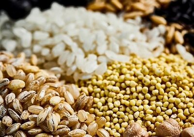 은퇴설계자들 초역세권 증미역 실버타운