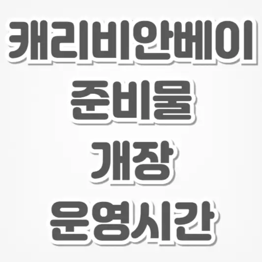 캐리비안베이-준비물 개장 운영시간