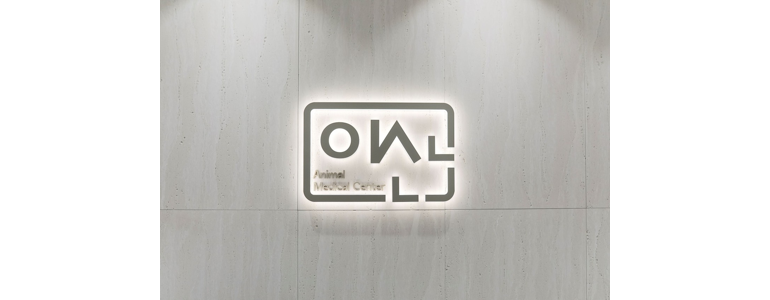 시흥시 동물병원