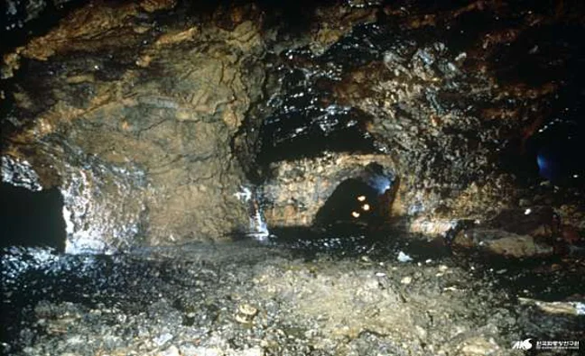 제주어음리빌레못동굴