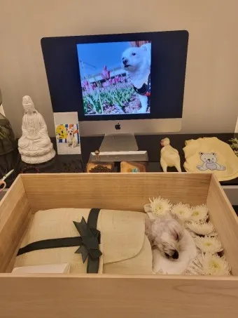 강아지 장례식장 비용 화장 무덤 법적 절차_10