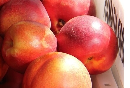 천도복숭아효능