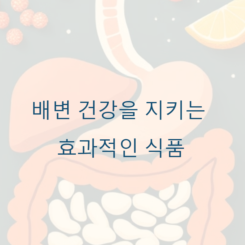 배변 건강을 지키는 효과적인 식품