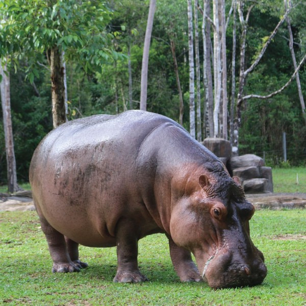푸꾸옥 빈펄 사파리와 주키퍼