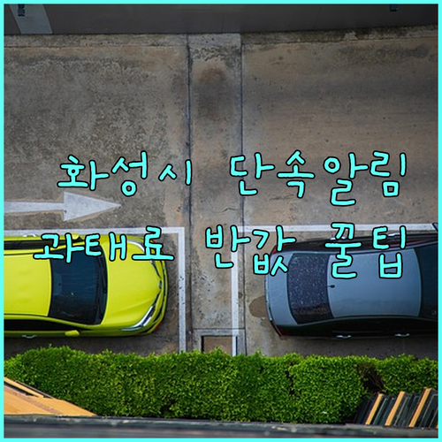 화성시 주정차 단속 알림 문자 서비스..