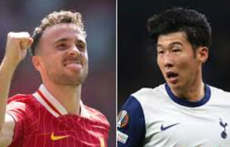 디오구 조타 사망