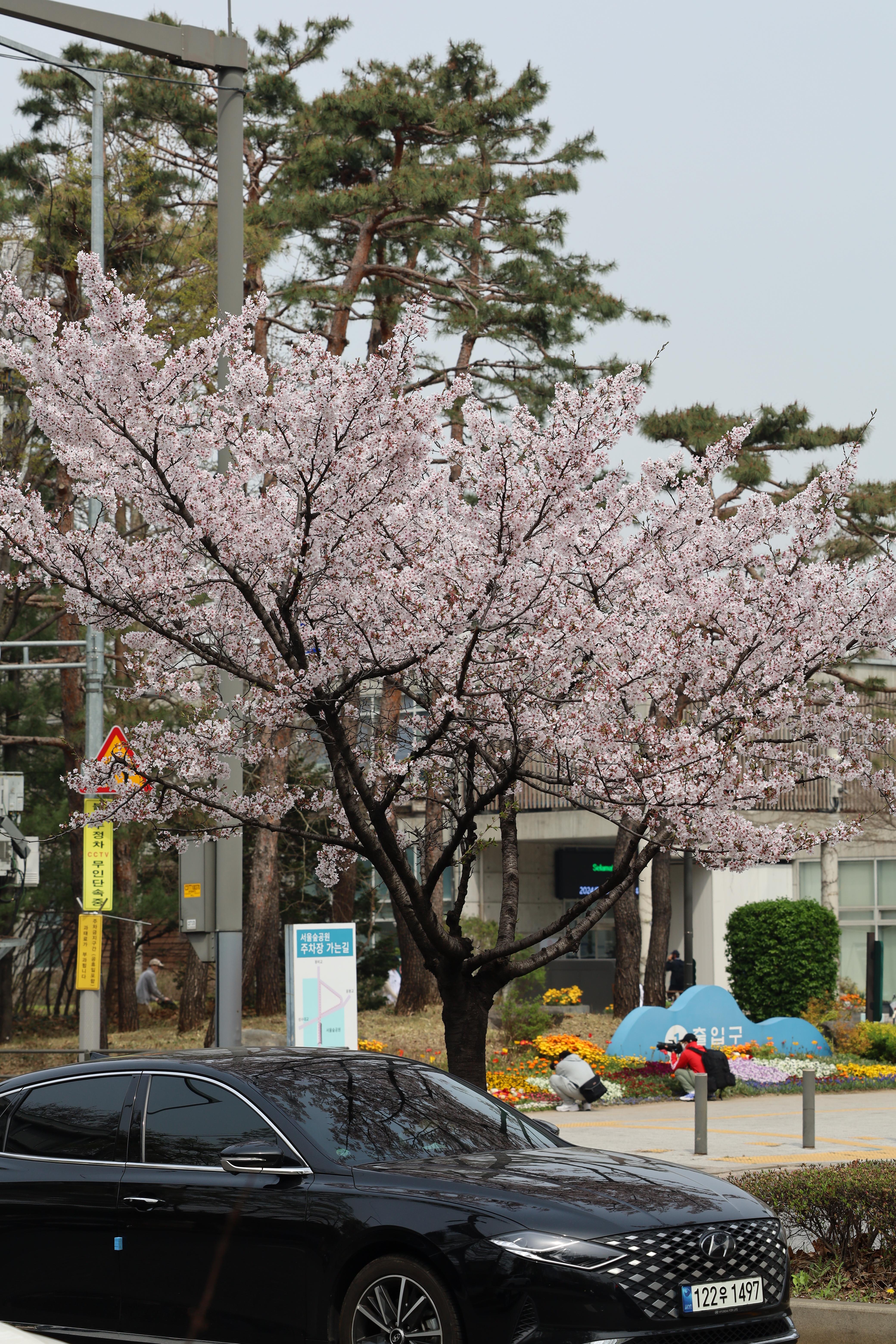 마우스 우클릭, 다른 이름으로 사진 저장 img |무료 이미지 다운로드