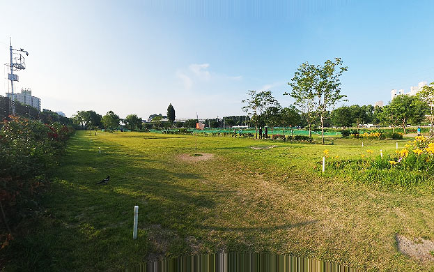 서울	영등포구 양평누리파크골프장 소개