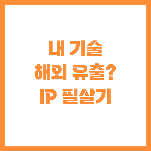 내 기술을 세계에서 지키는 법 경기 ..