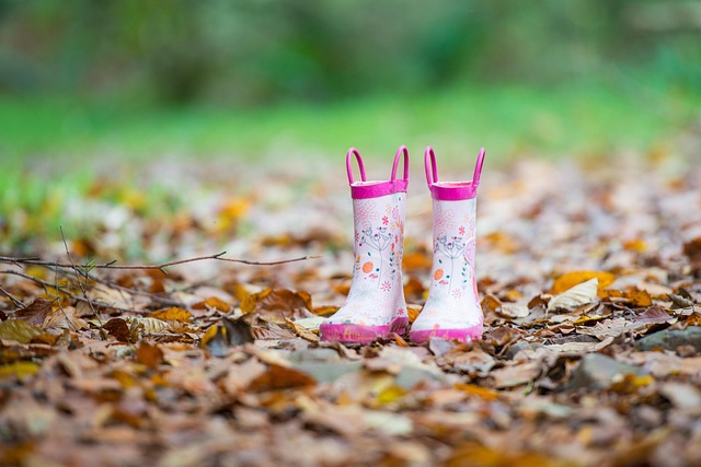 가을,낙엽,산책,가을산책,가을아기신발