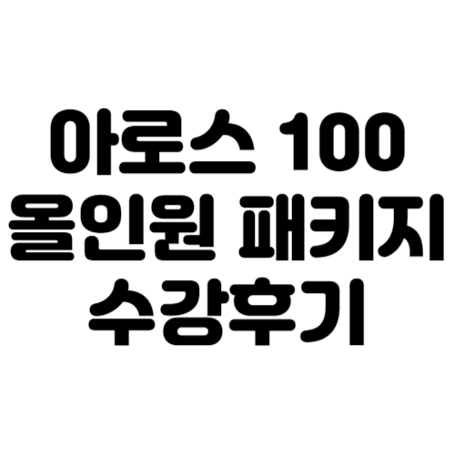 아로스 100 올인원 후기