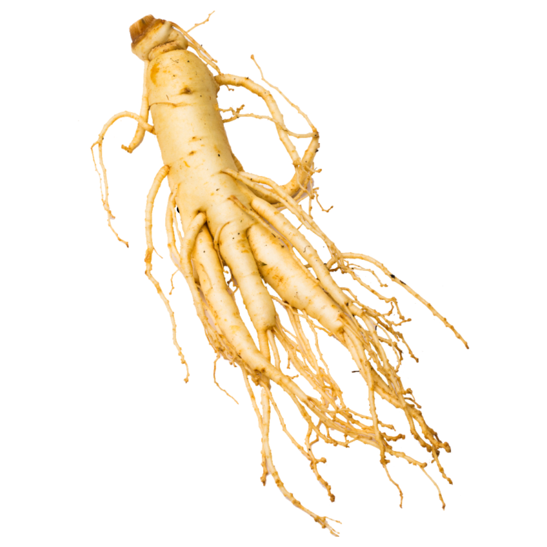 흑염소와 관련된 사진입니다.