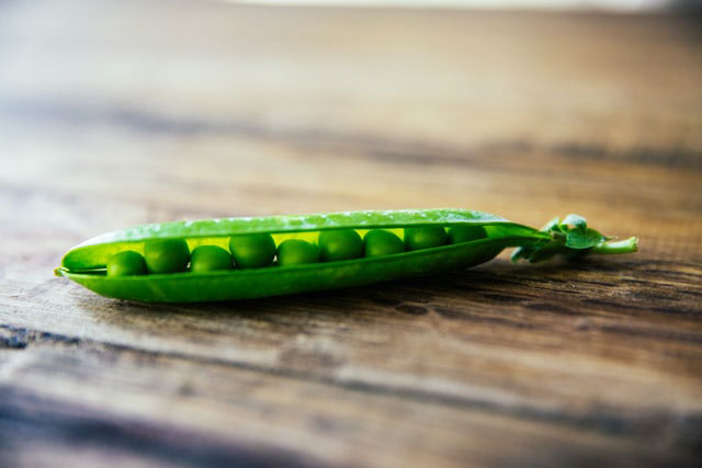 혈당을 떨어트리는 음식 - 콩