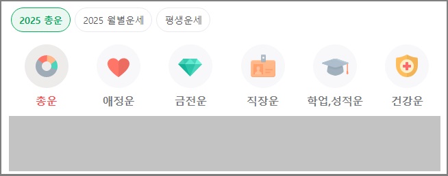 2025 총운 보기