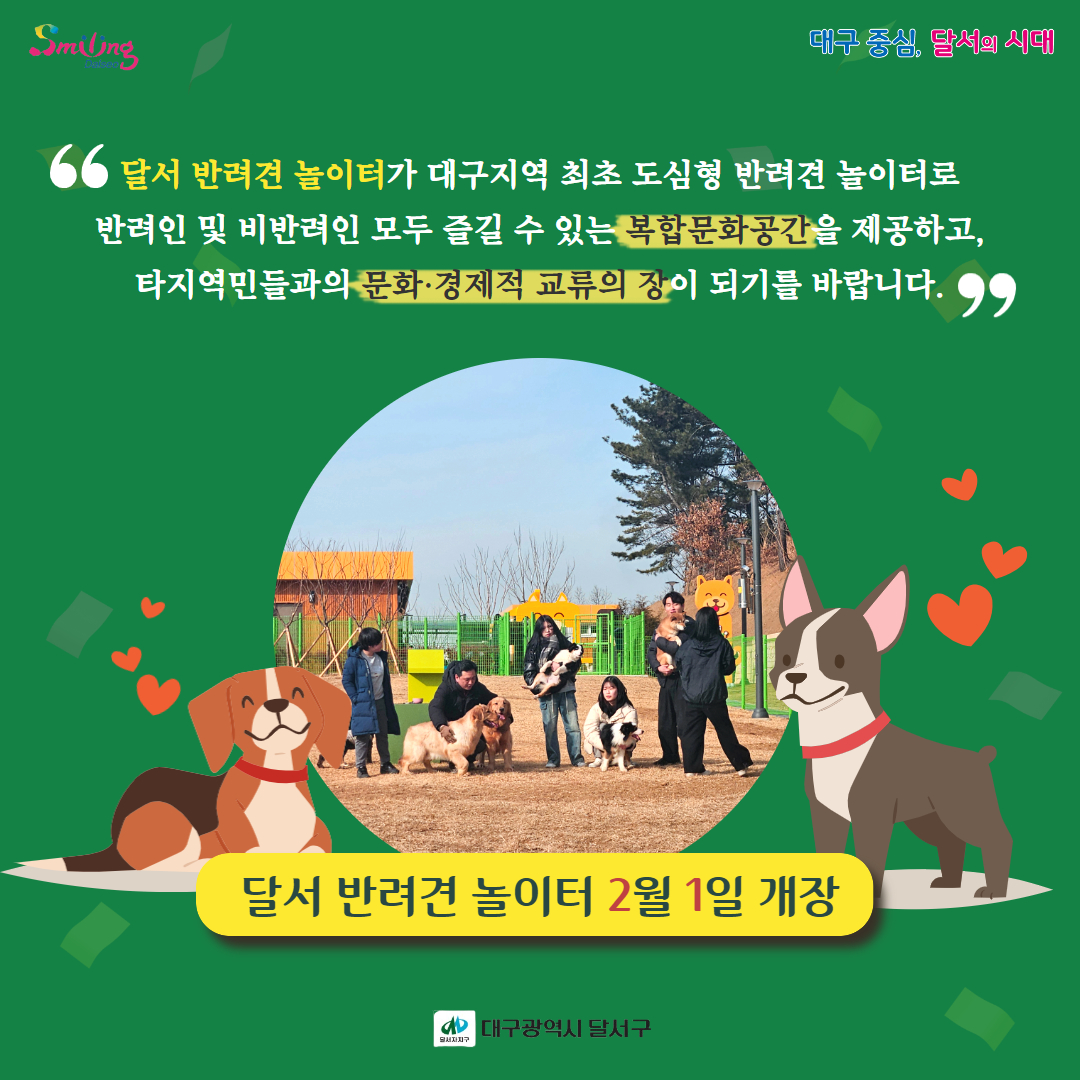 대구 달서구 달서구청 달서 반려견 놀이터 가격 위치 장소 운영 시간 대형견 소형견 중형견 운영