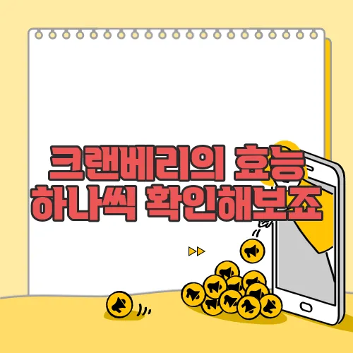 크랜베리의 효능 하나씩 확인해보죠