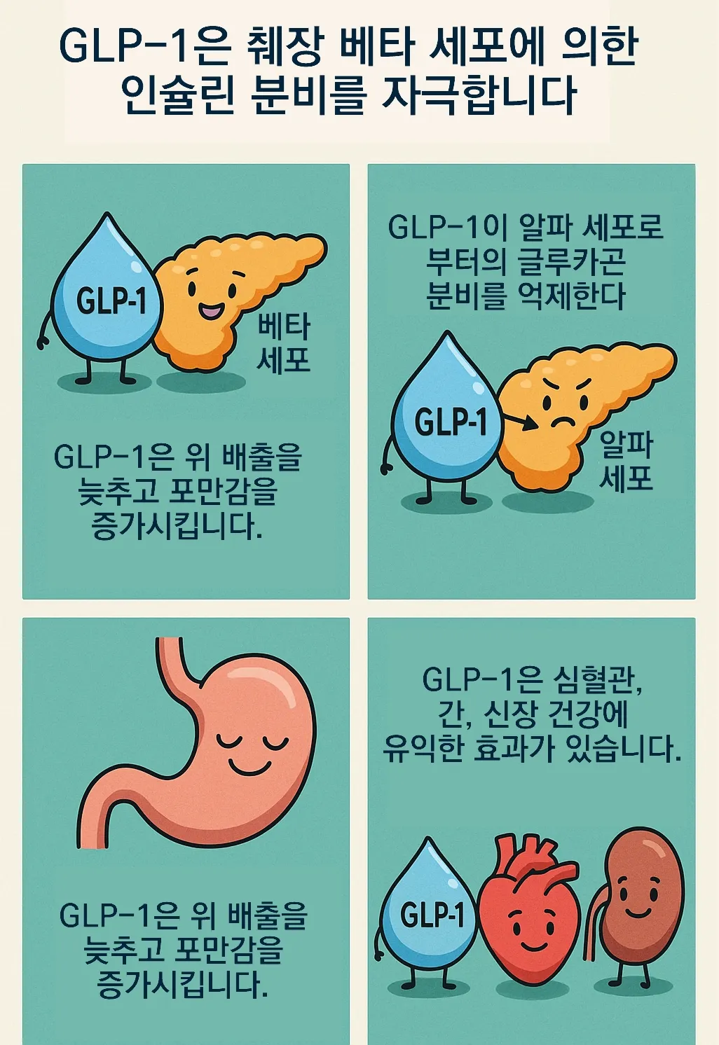 GLP-1의 주요 기능과 작용 메커니즘