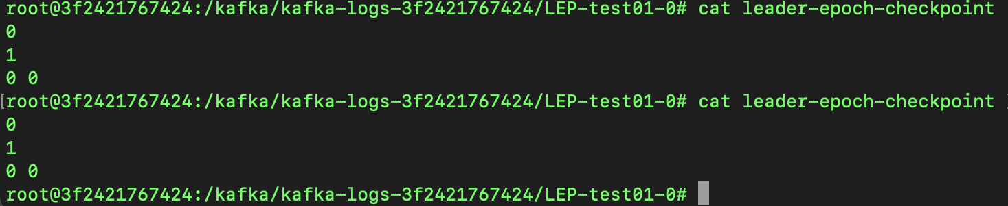 leader epoch checkpoint