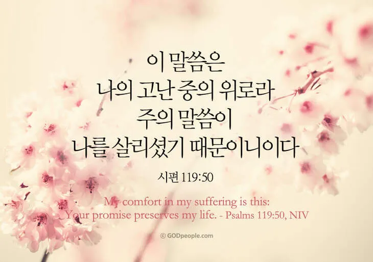 마음에 위로를 주는 말씀 모음 리스트 100선_1