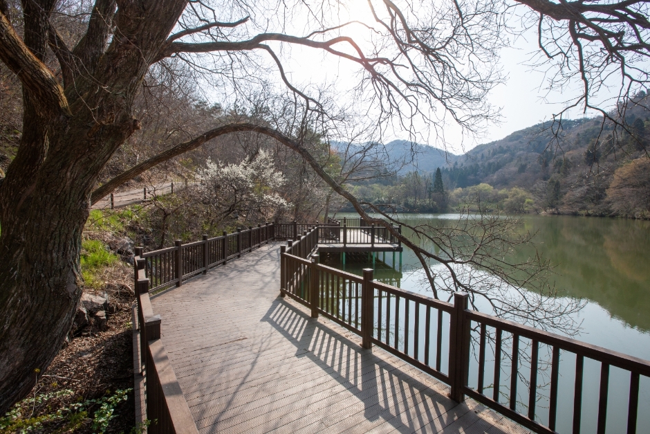 화순 가볼만한곳 베스트10