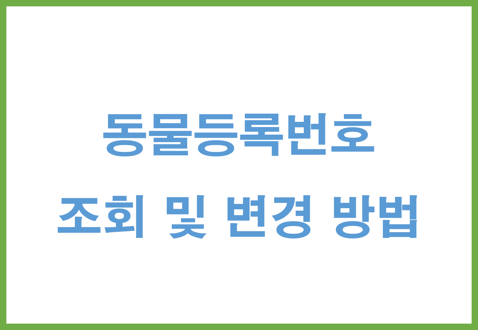 동물등록번호 조회 및 변경 방법 총정리 (2025년 최신)