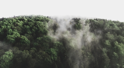 2025년 전기차 보조금