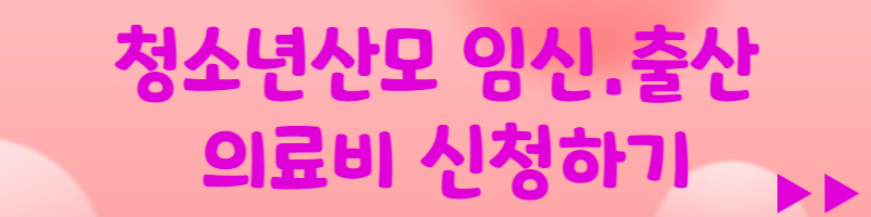 청소년산모 의료.출산의료비 지원