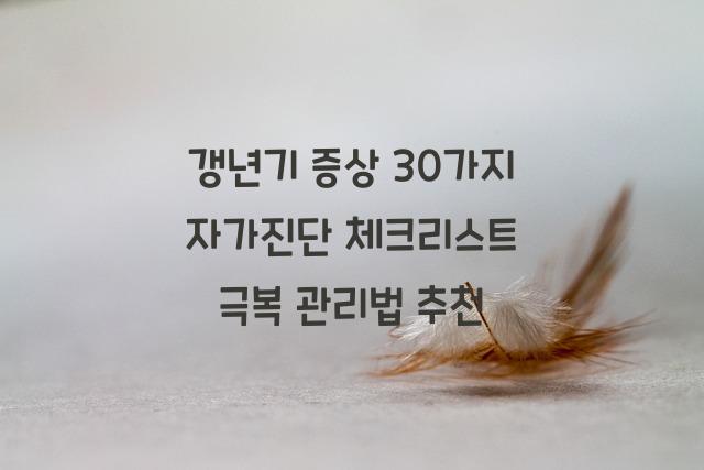 갱년기 증상 30가지