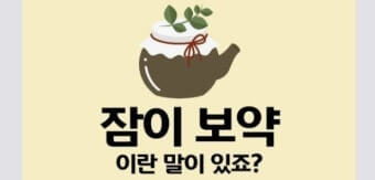 잠이 보약입니다