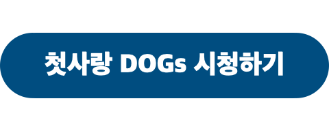 첫사랑DOGs_시청하기