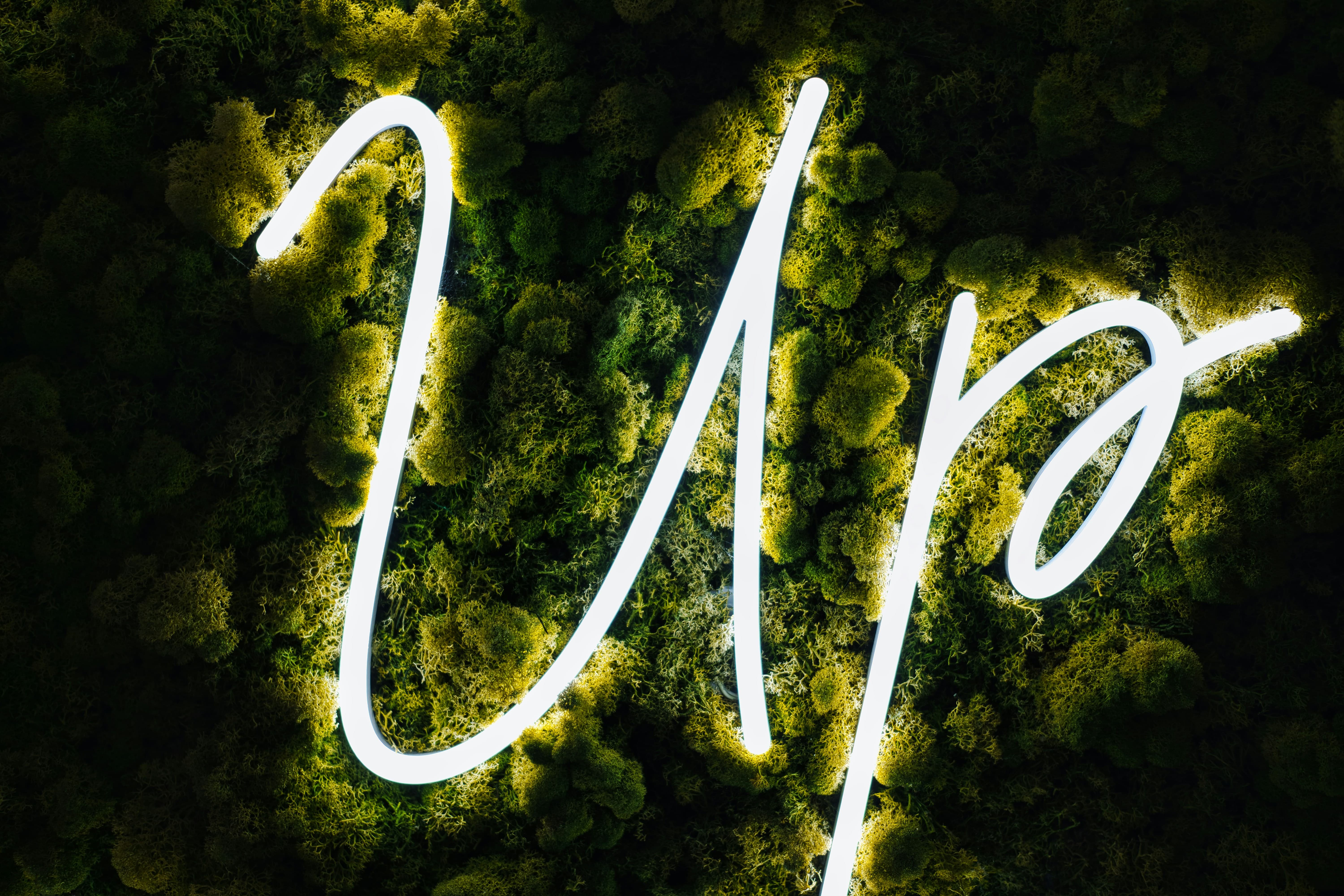 무료 자기개발 사이트 총정리